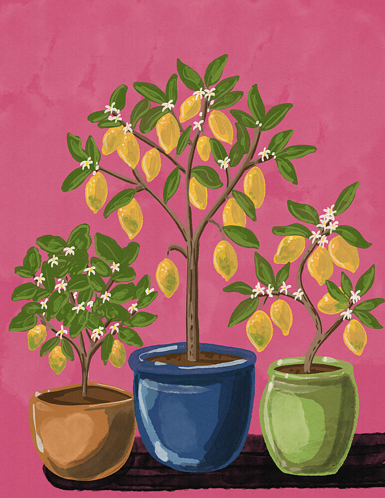 Vibrant Lemon Trees art print by Nicholas for $57.95 CAD