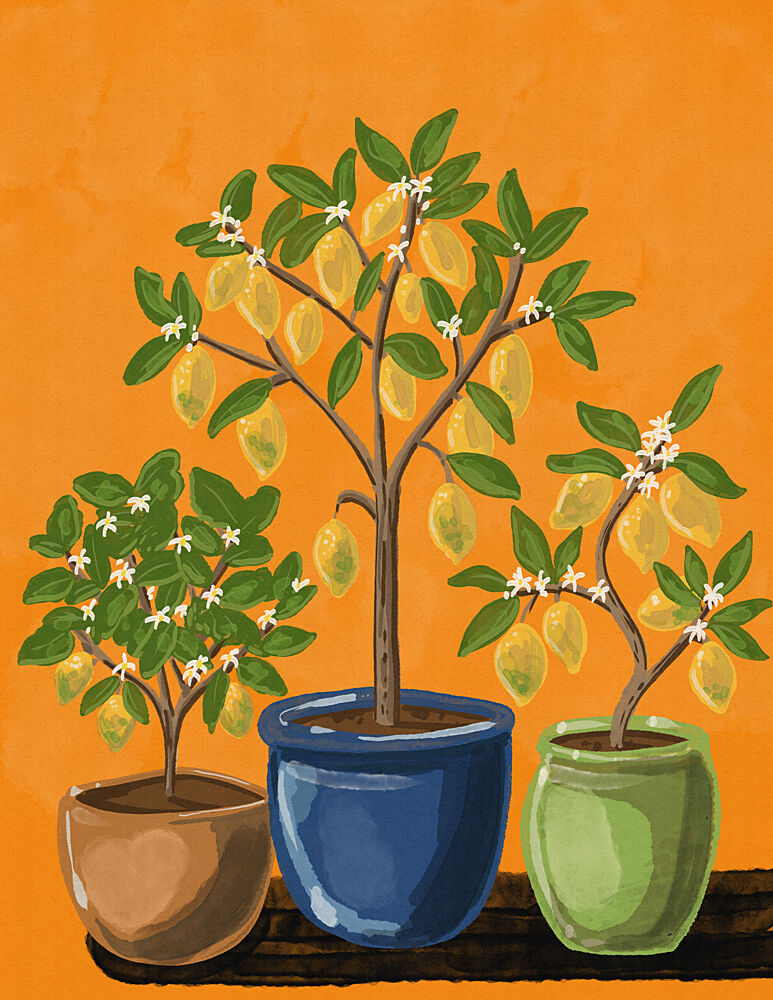 Lemon Trees art print by Nicholas for $57.95 CAD