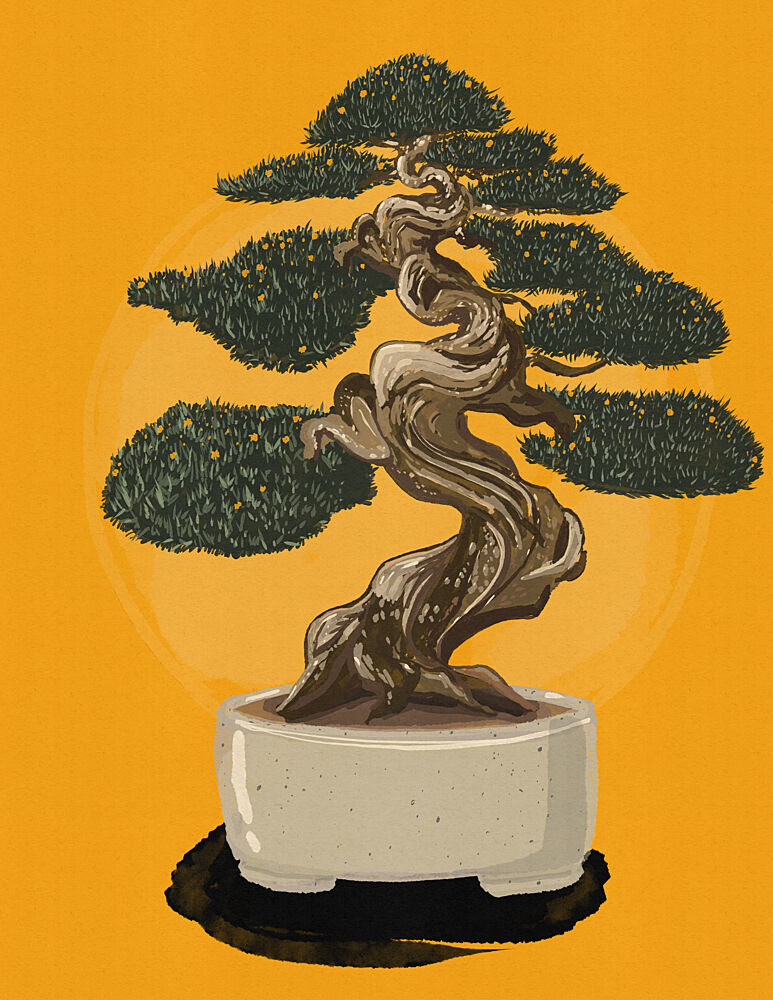 Elegant Bonsai Tree art print by Nicholas for $57.95 CAD