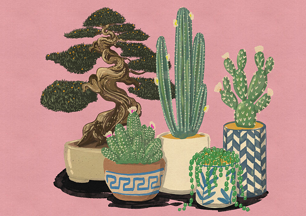 Potted Desert Plants art print by Nicholas for $57.95 CAD