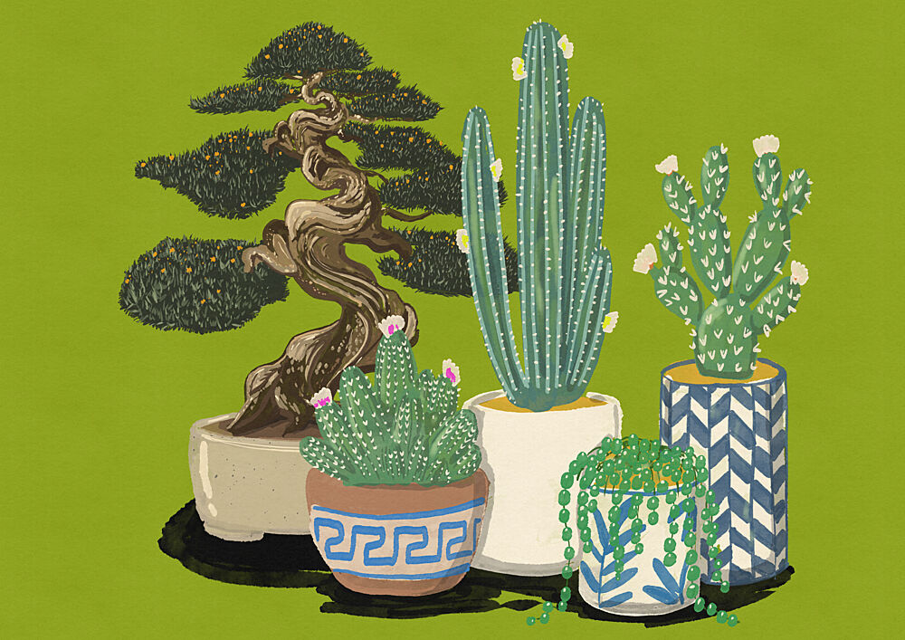 Green Indoor Plants art print by Nicholas for $57.95 CAD