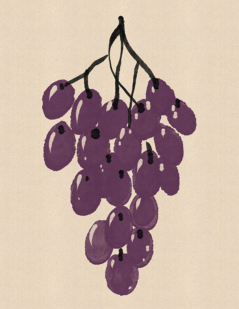 Purple Grape Cluster art print by Nicholas for $57.95 CAD