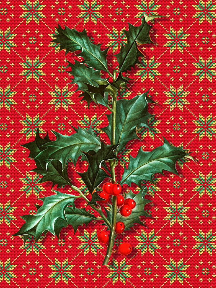 Festive Holly Knit Pattern art print by Marja van den Hurk for $57.95 CAD