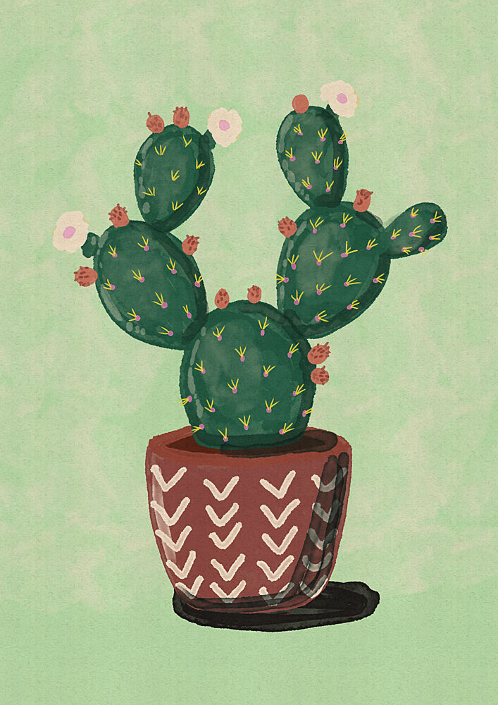 Blooming Potted Cactus art print by Nicholas for $57.95 CAD