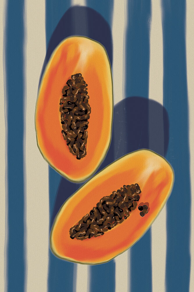 Tropical Papaya Halves art print by Lisa Solomoniuk for $57.95 CAD