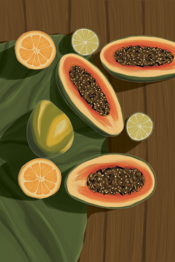 Vibrant Tropical Fruits art print by Lisa Solomoniuk for $57.95 CAD