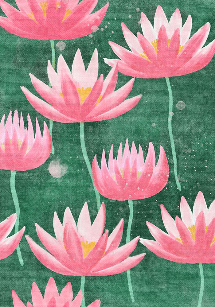 Pink Water Lilies art print by Aliya Putrus for $57.95 CAD