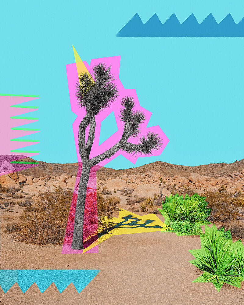 Vivid Desert Joshua Tree art print by Tom Windeknecht for $57.95 CAD