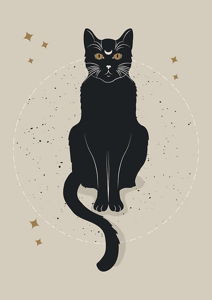 Celestial Black Cat art print by Lisa Solomoniuk for $57.95 CAD