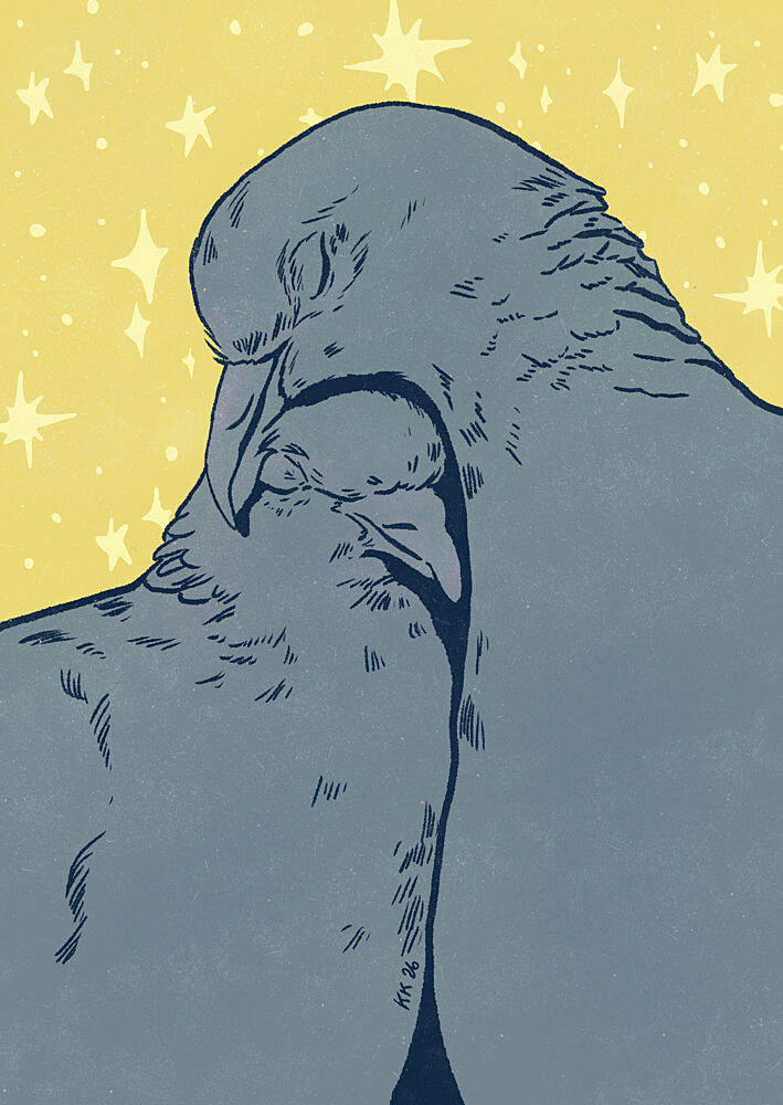 Cuddling Pigeons under Stars art print by Katariina Kosunen for $57.95 CAD