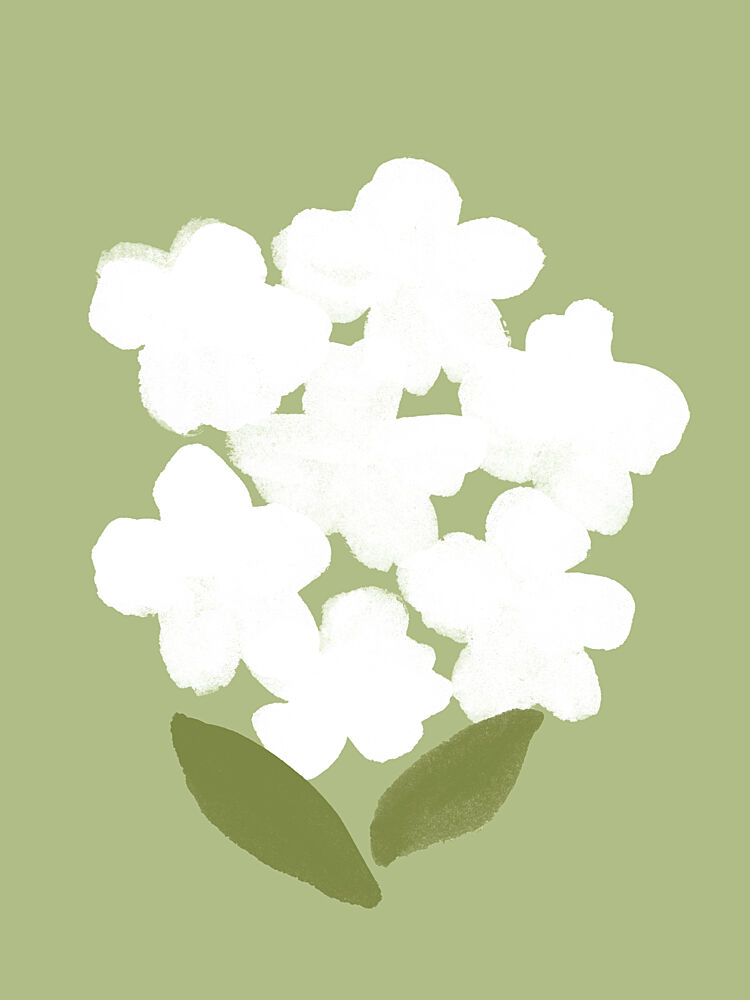 Soft White Blooms art print by Moonlight Print for $57.95 CAD