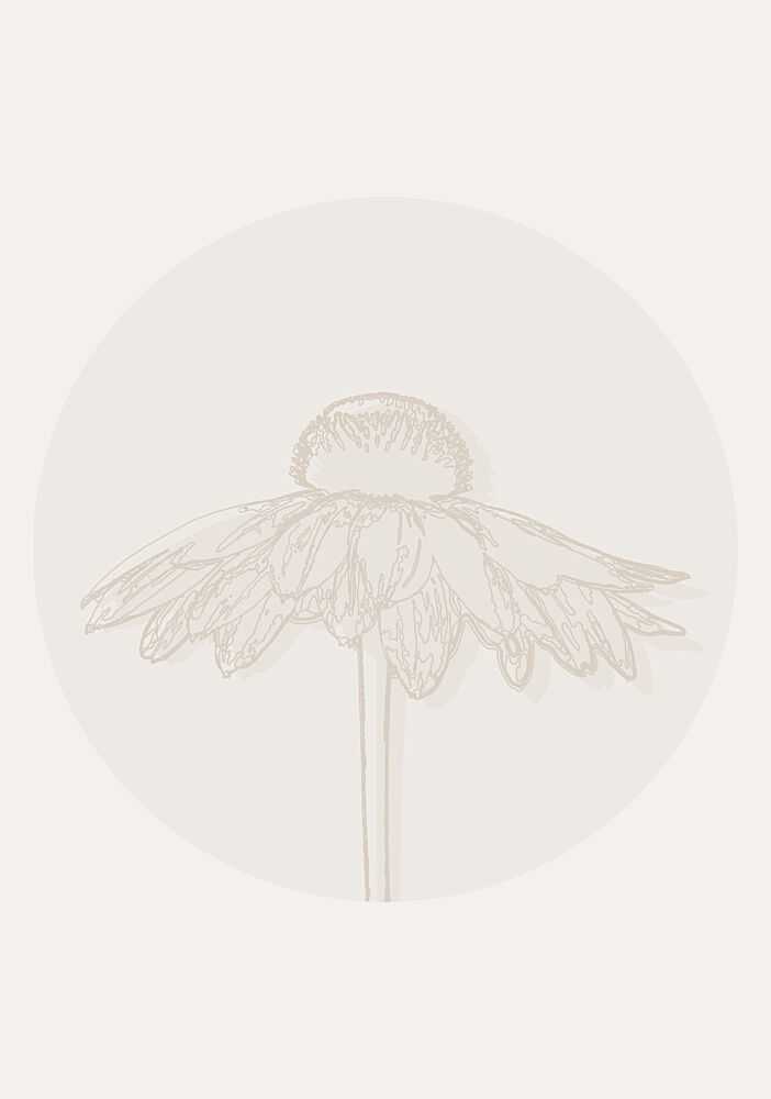 Minimalist Coneflower Bloom art print by Lisa Solomoniuk for $57.95 CAD