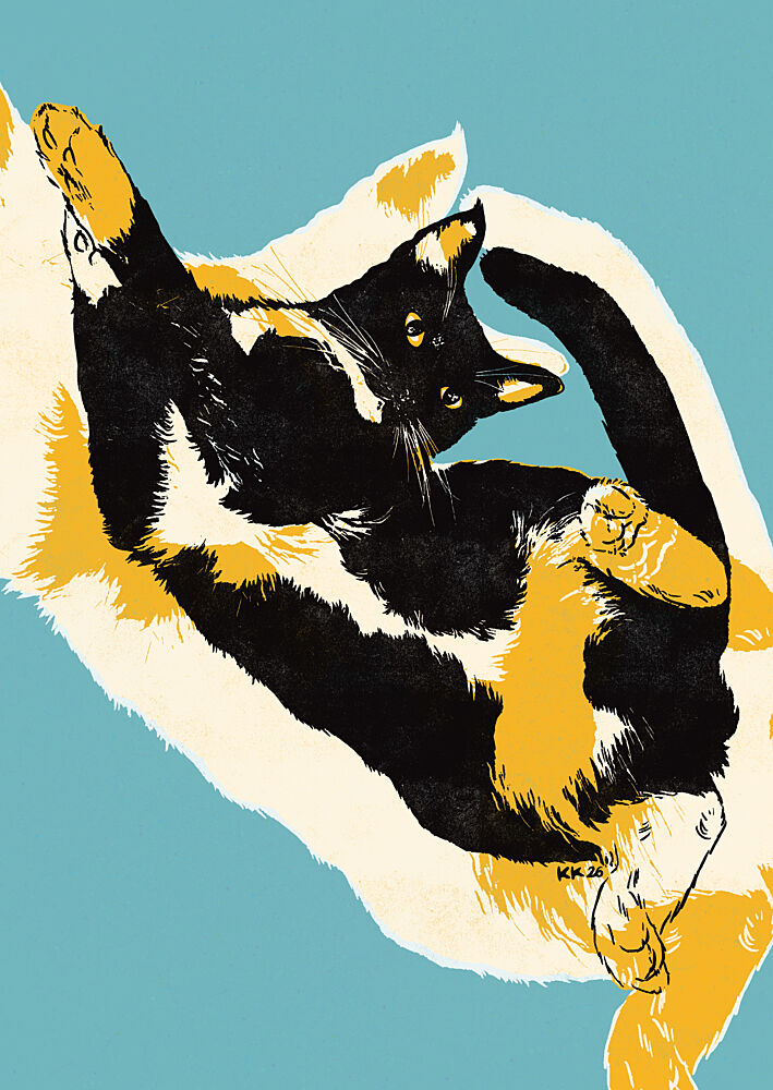 Playful Calico Cat art print by Katariina Kosunen for $57.95 CAD