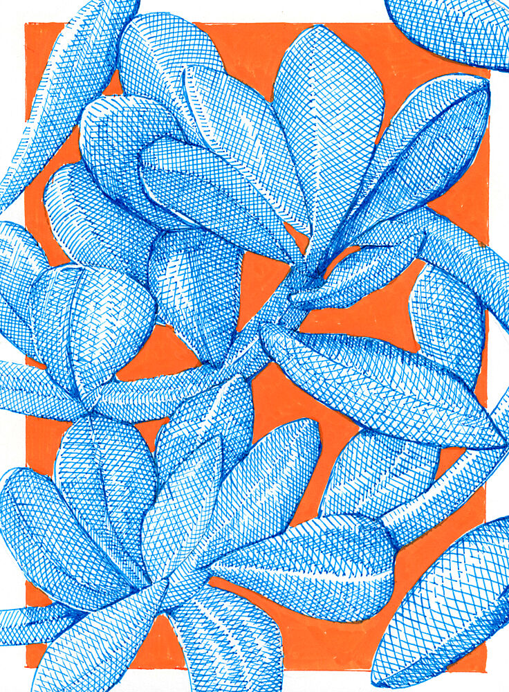 Vibrant Botanical Pop art print by Katie O'Shea for $57.95 CAD