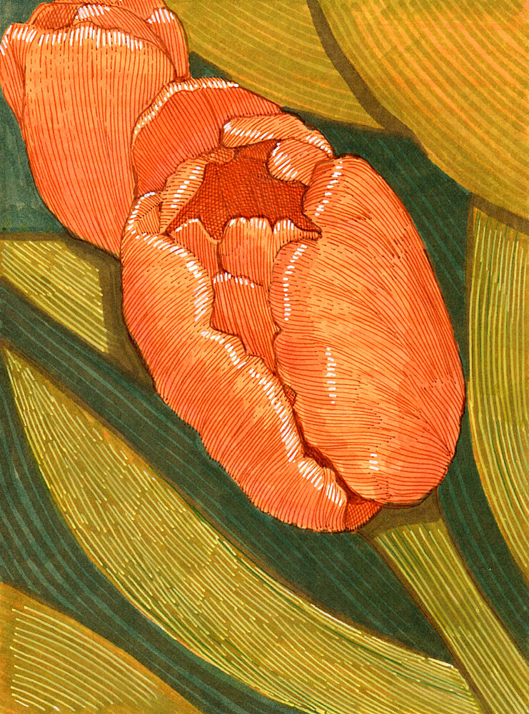 Bright Orange Tulips with Green Leaf Line Drawing art print by Katie O'Shea for $57.95 CAD