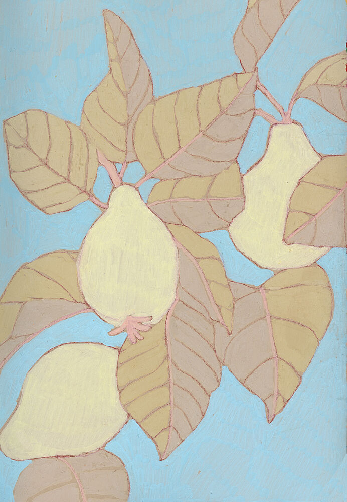 Pears on Blue Branch art print by Katie O'Shea for $57.95 CAD