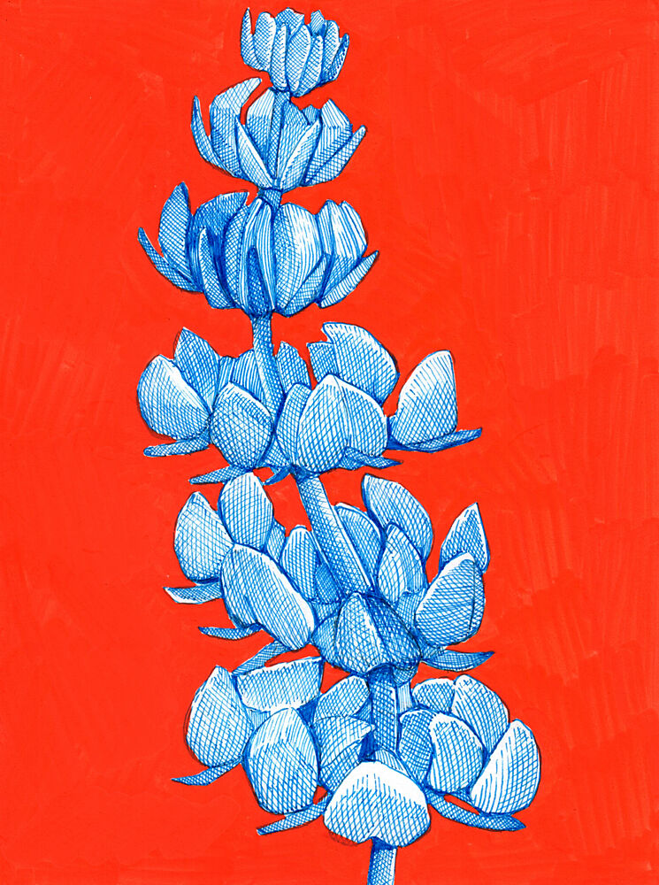Bold Blue Bloom art print by Katie O'Shea for $57.95 CAD