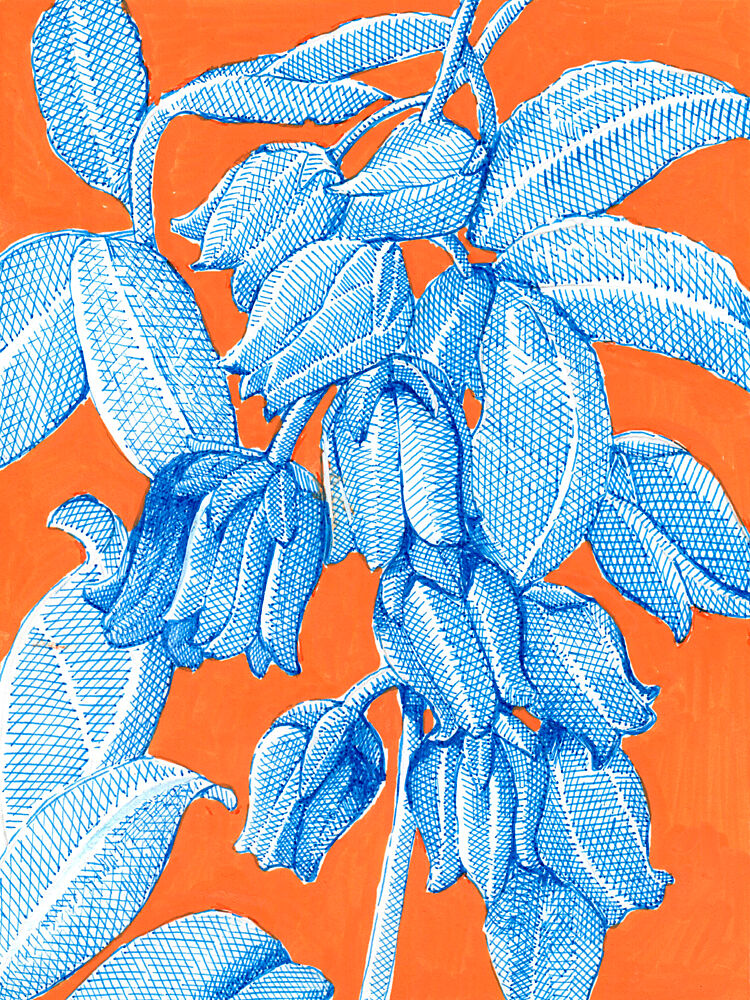Vibrant Blue Botanicals art print by Katie O'Shea for $57.95 CAD