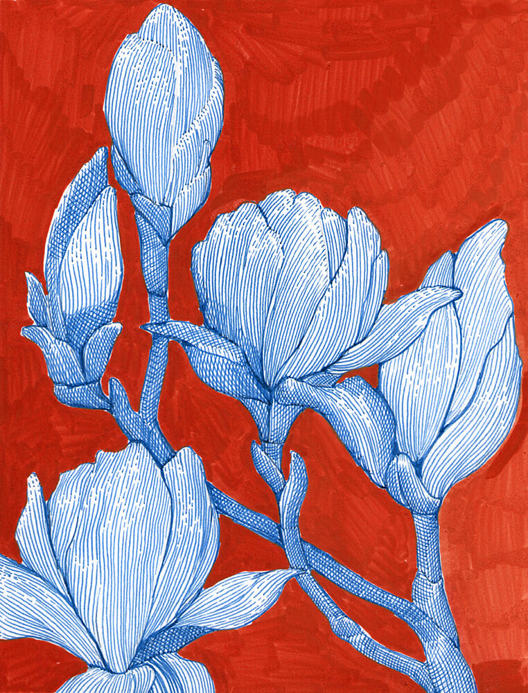 Bold Blue Magnolias art print by Katie O'Shea for $57.95 CAD