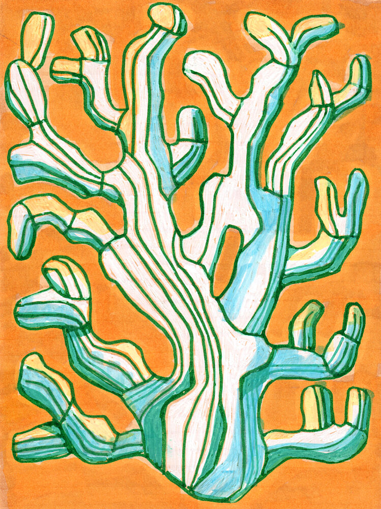 Vibrant Striped Coral art print by Katie O'Shea for $57.95 CAD