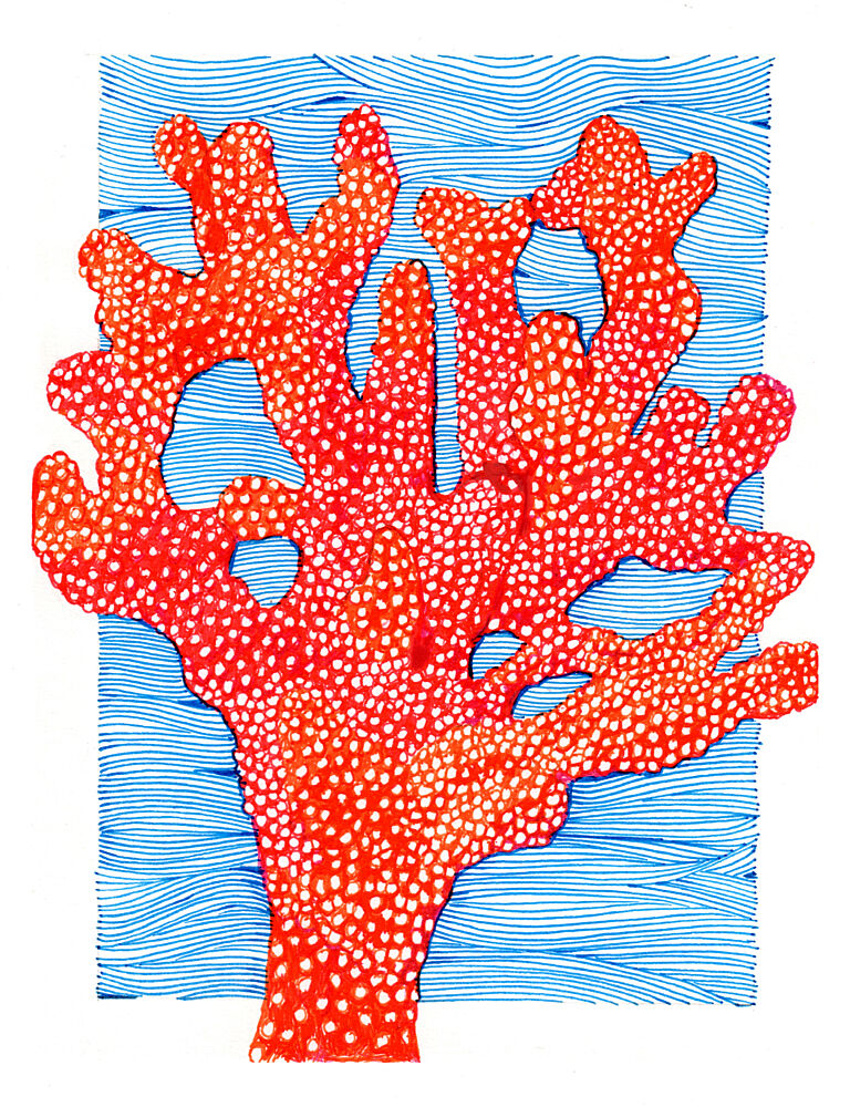 Vibrant Red Coral art print by Katie O'Shea for $57.95 CAD