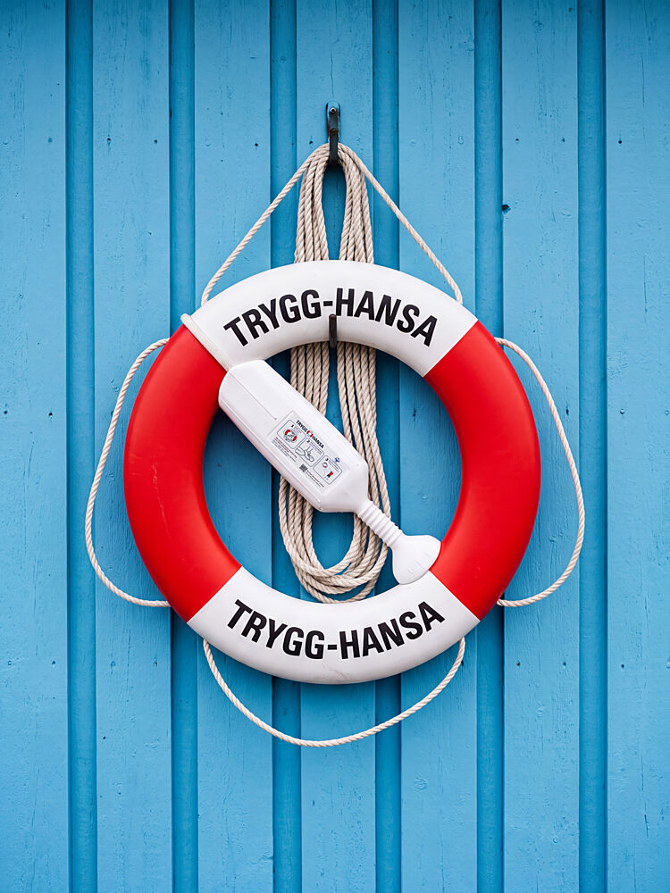 Nautical Life Ring art print by Andreas Magnusson for $57.95 CAD