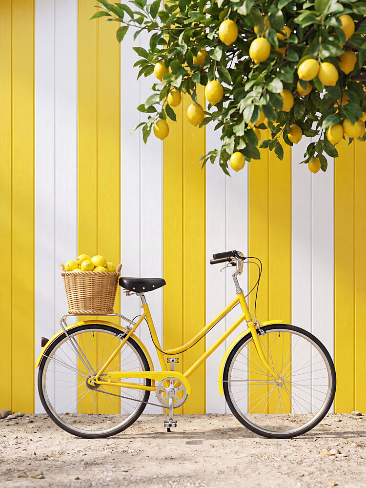 Yellow Bicycle with Lemons art print by Andreas Magnusson for $57.95 CAD