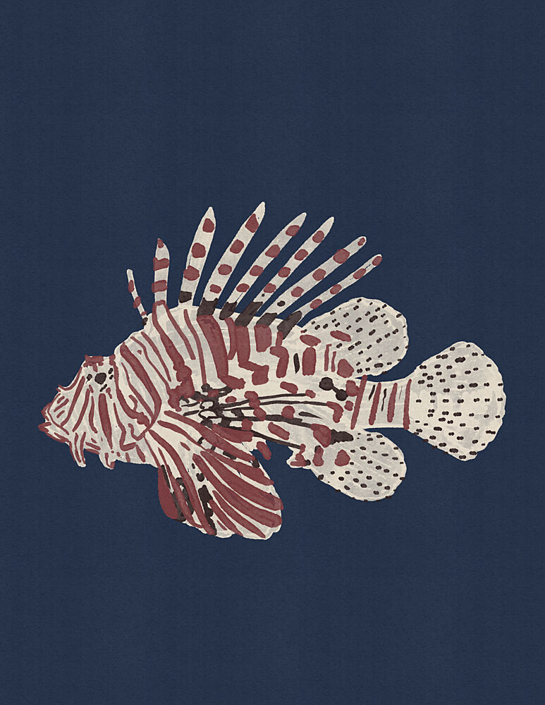 Red Striped Lionfish art print by Nicholas for $57.95 CAD