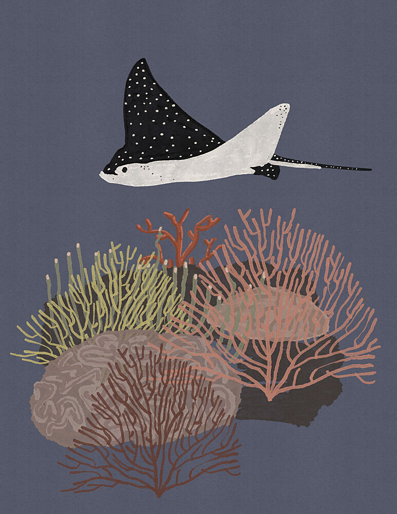 Spotted Ray over Coral Reef art print by Nicholas for $57.95 CAD