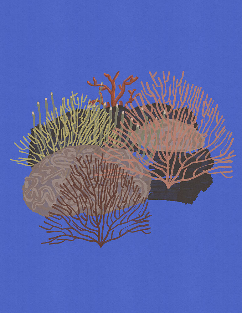 Ocean Coral Garden art print by Nicholas for $57.95 CAD