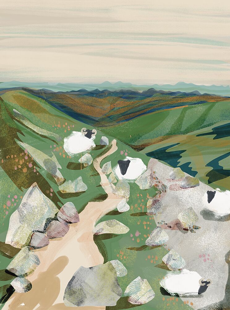 Peaceful Hillside Sheep art print by Charlotte Trudgett for $57.95 CAD