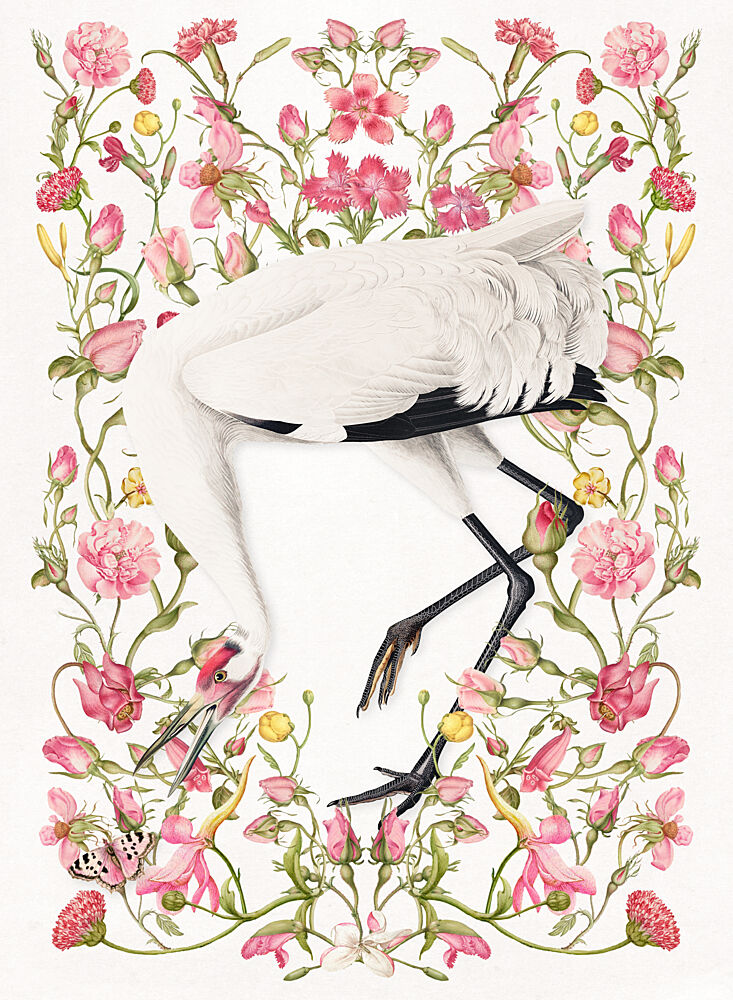 Elegant Crane Pink Blooms art print by Marja van den Hurk for $57.95 CAD