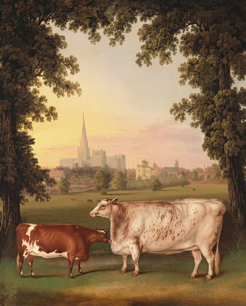 Cows and Cathedral View art print by Marja van den Hurk for $57.95 CAD