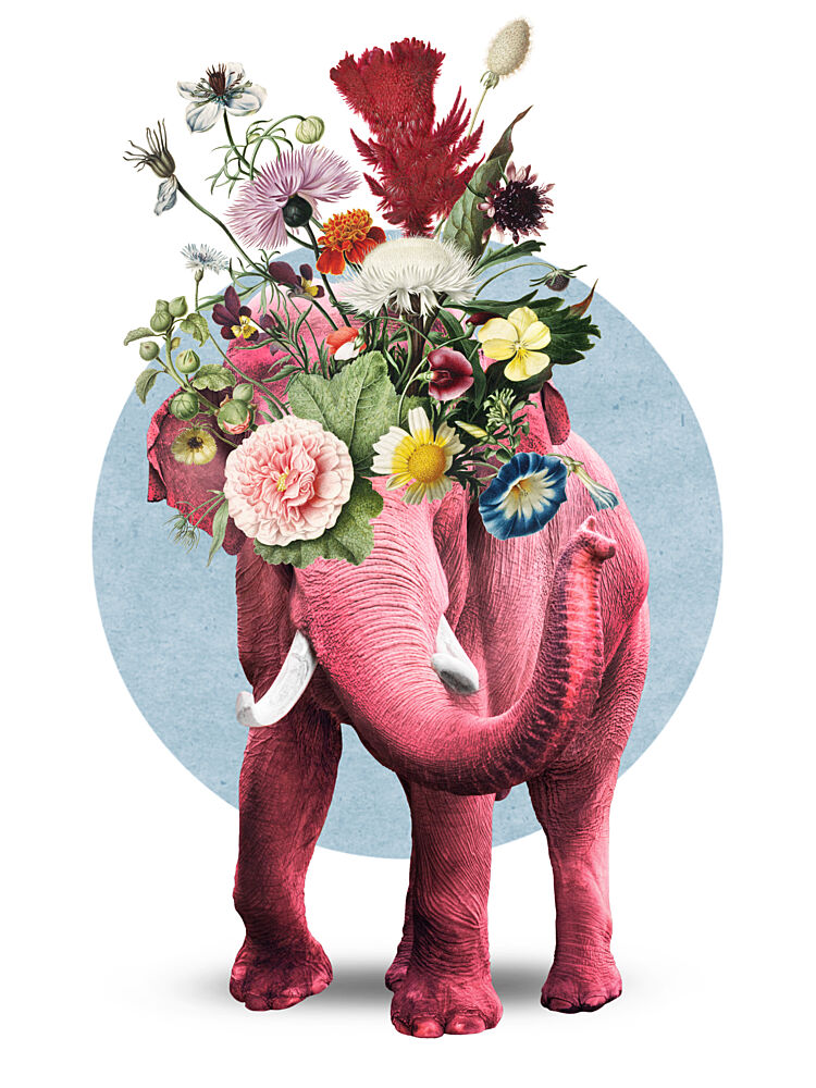 Pink Floral Elephant art print by Marja van den Hurk for $57.95 CAD