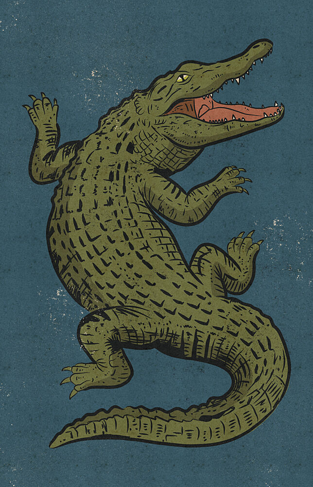 Fierce Alligator Roar art print by Nicholas for $57.95 CAD