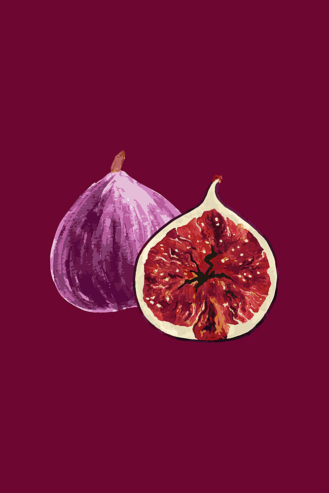 Ripe Purple Figs art print by Karen Menzenbach for $57.95 CAD