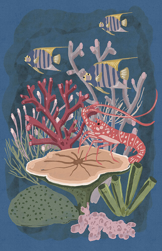 Angelfish and Lobster Reef art print by Nicholas for $57.95 CAD