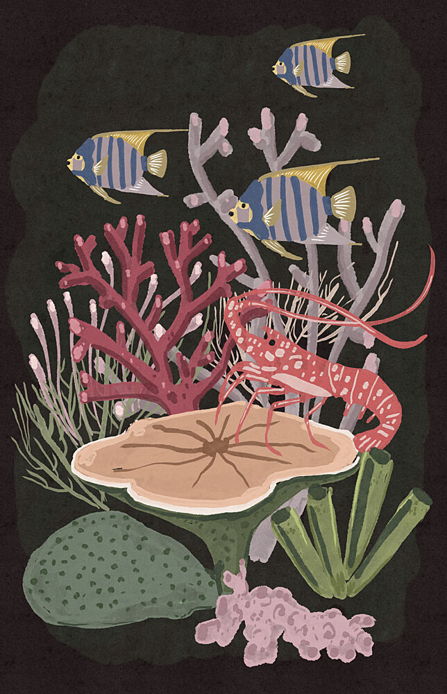Spiny Lobster Coral Reef art print by Nicholas for $57.95 CAD