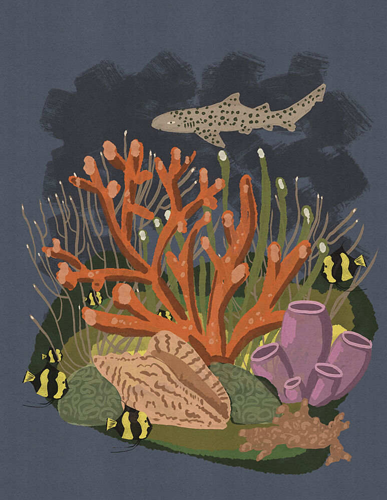 Leopard Shark Reef art print by Nicholas for $57.95 CAD