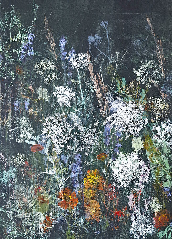 Midnight Wildflower Bloom art print by Maira Ribena for $57.95 CAD