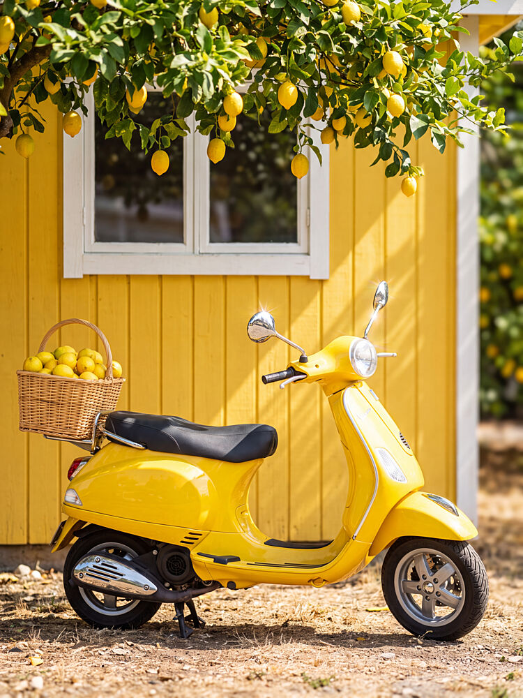 Yellow Scooter Lemons art print by Andreas Magnusson for $57.95 CAD