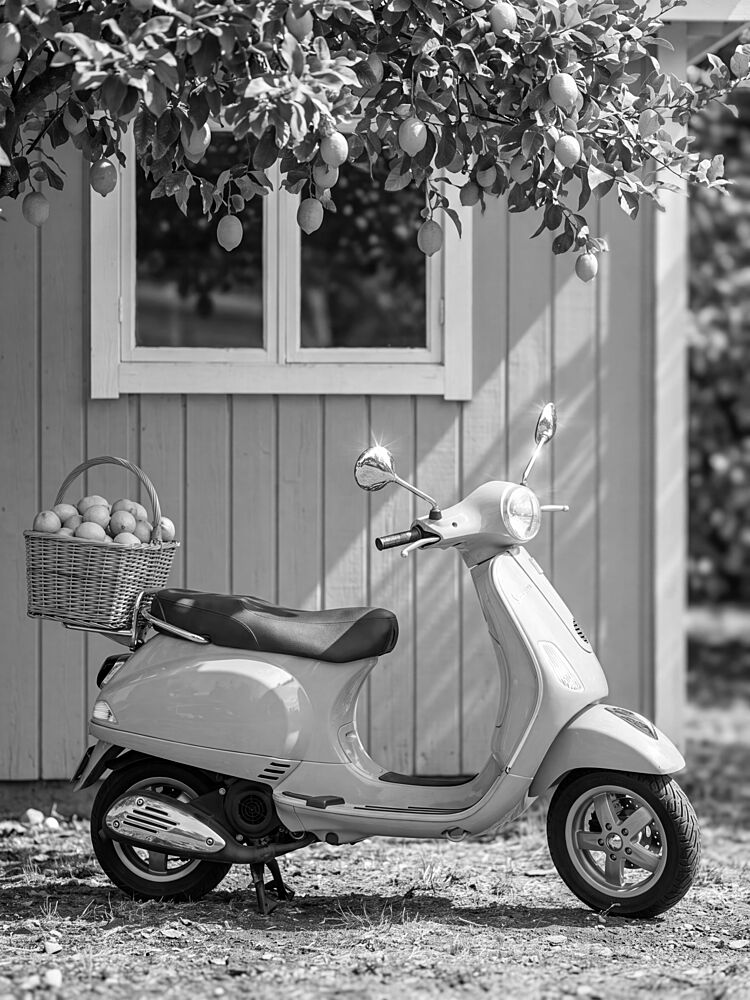 Summer Scooter Lemons art print by Andreas Magnusson for $57.95 CAD