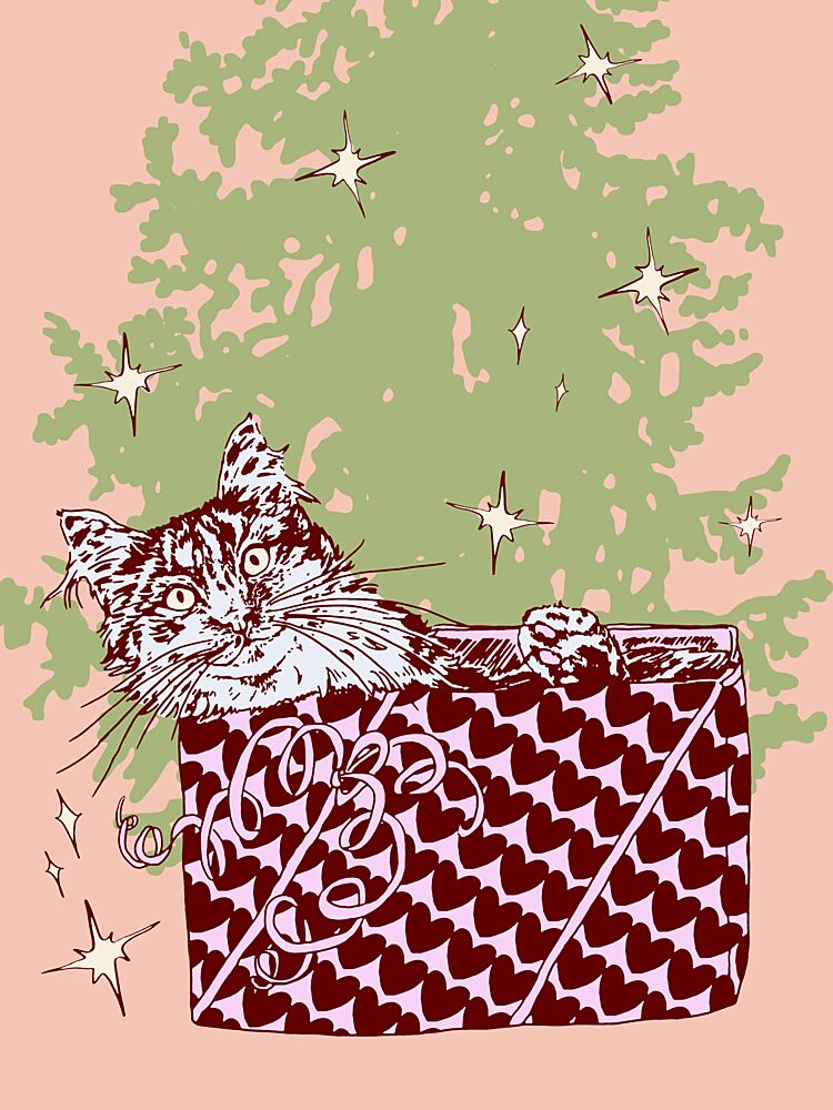 Christmas Cat Surprise art print by Katariina Kosunen for $57.95 CAD