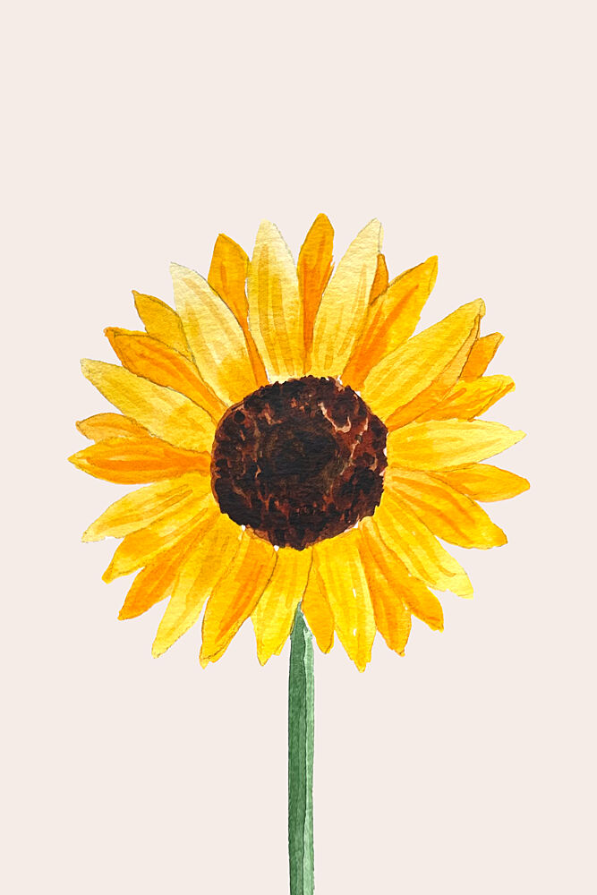 Sunny Sunflower Bloom art print by Karen Menzenbach for $57.95 CAD