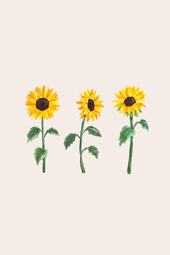 Cheerful Sunflower Trio art print by Karen Menzenbach for $57.95 CAD