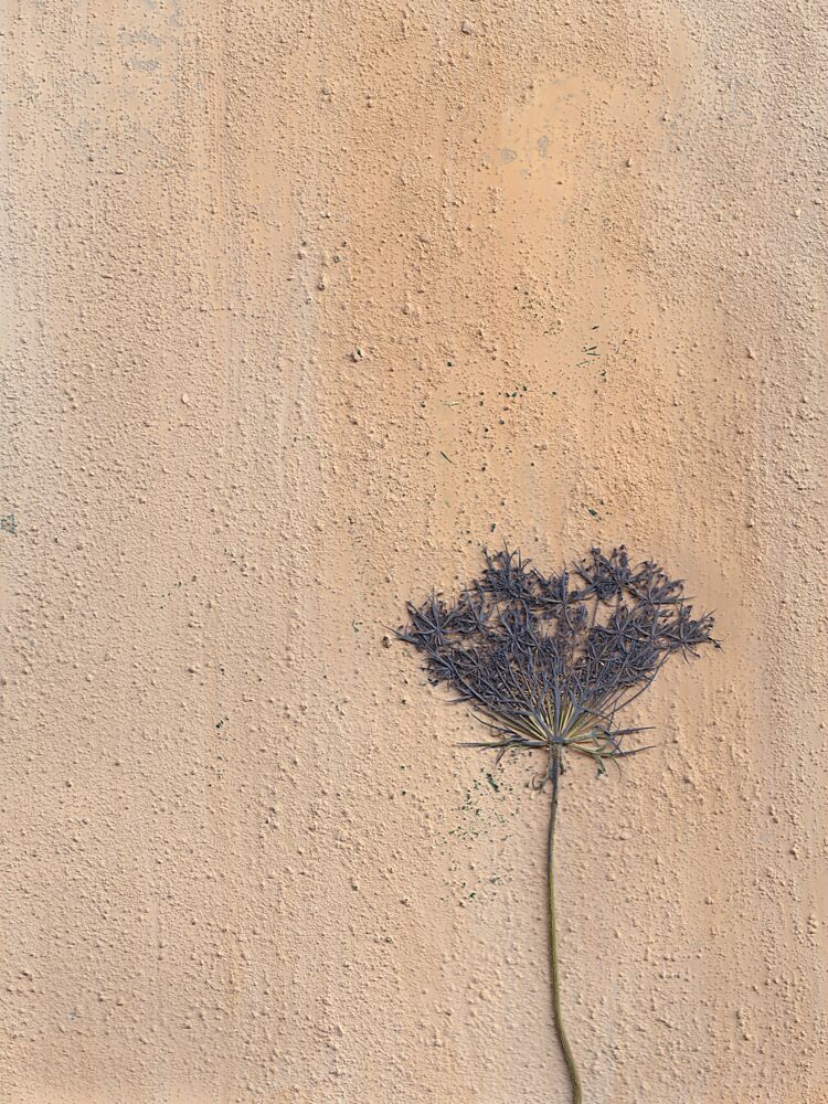 Earthy Flower Texture art print by Maira Ribena for $57.95 CAD