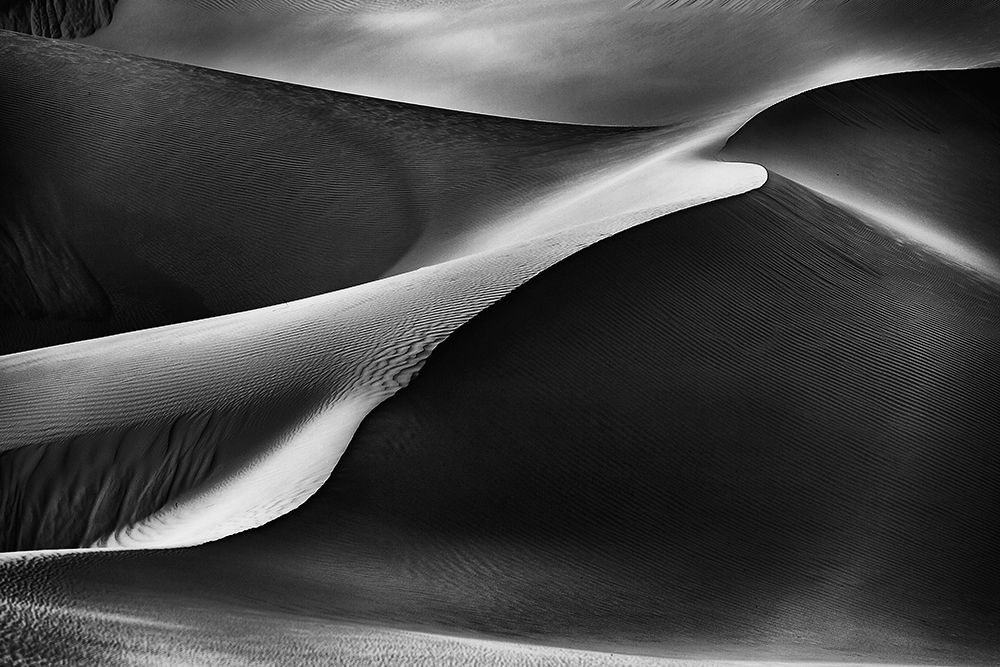Curvatures art print by Rami Al Adwan for $57.95 CAD