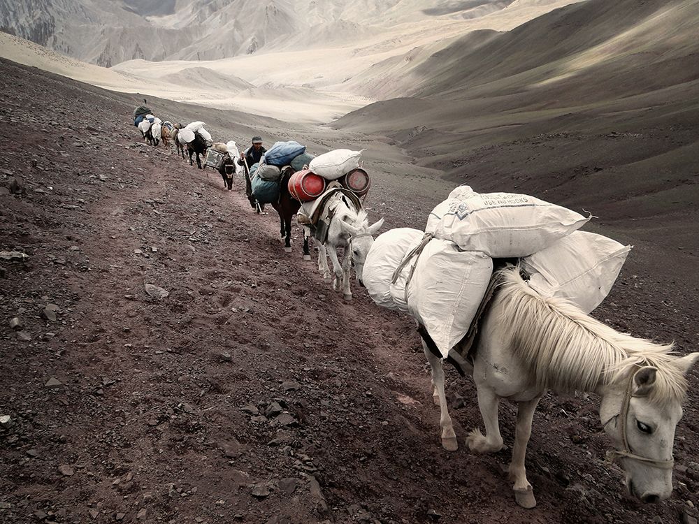 On Trail art print by Frank Daske for $57.95 CAD