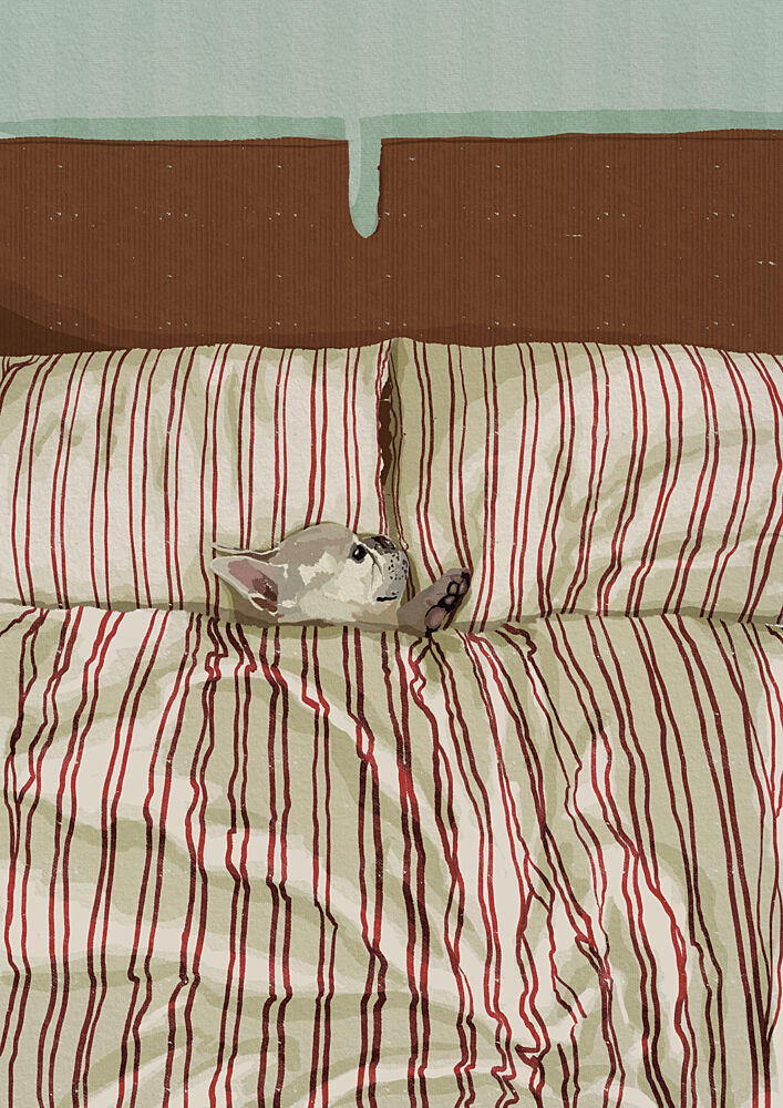 Cozy Dog in Bed art print by Lisa Solomoniuk for $57.95 CAD