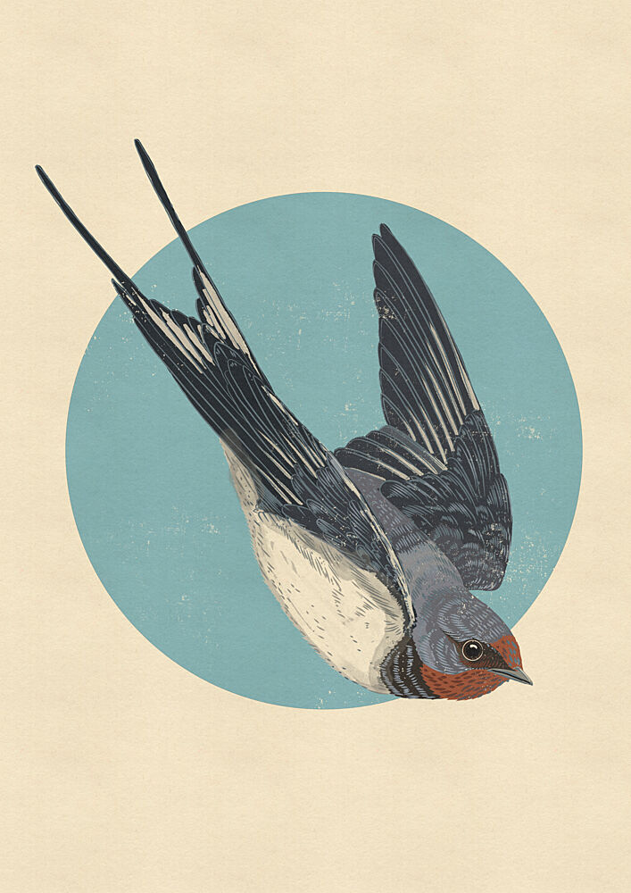 Swallow in Flight art print by Nicholas for $57.95 CAD